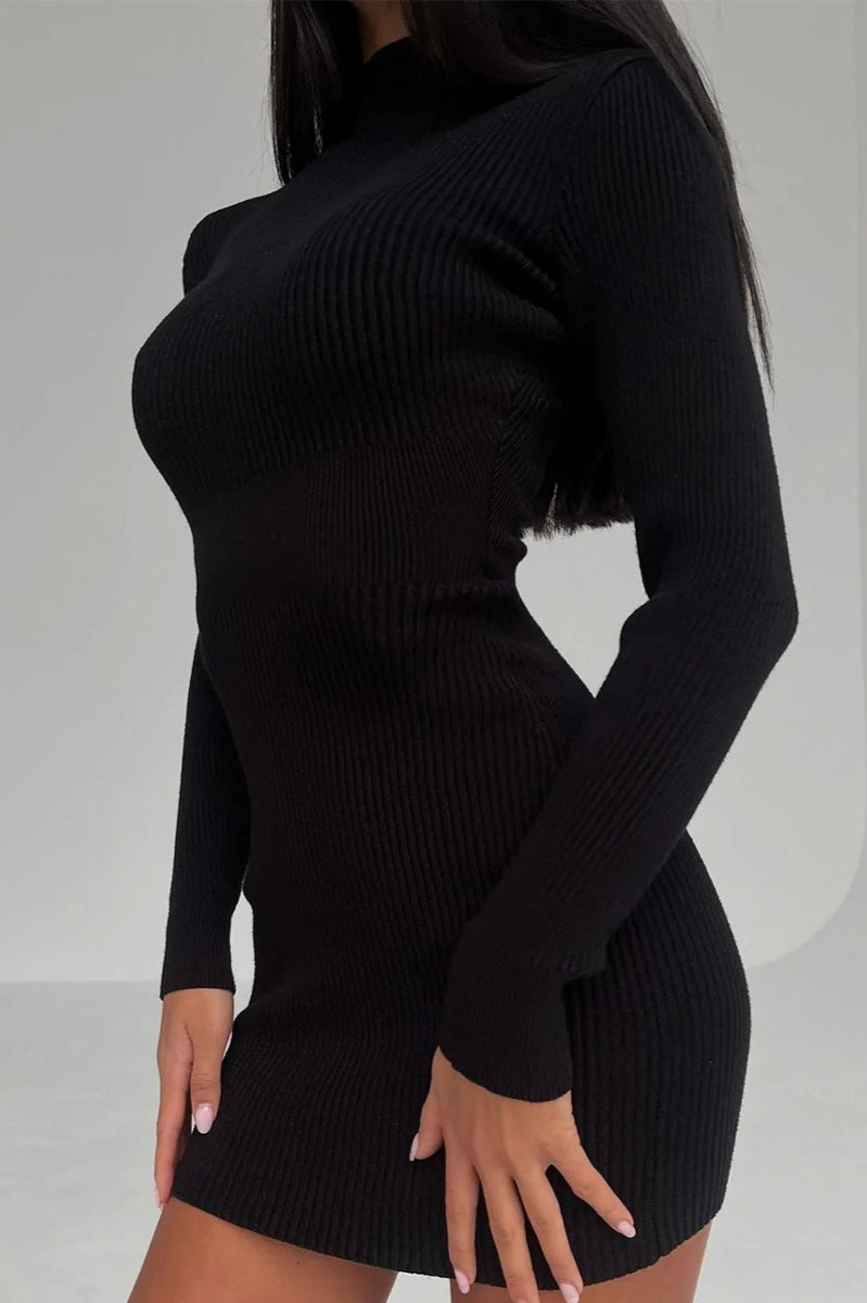 Semi-high Neck Slim Fitted Knit Sweater Dress