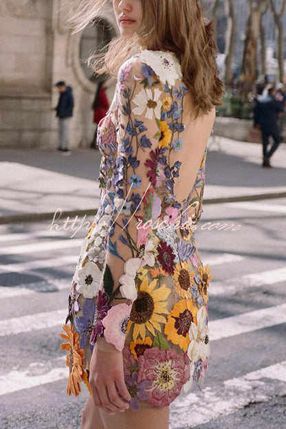 Elegantly Enchanted Applique Backless Long Sleeve Mini Dress