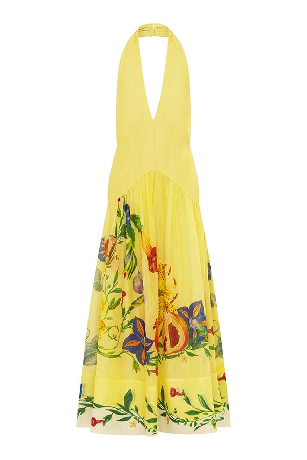Print Halterneck Open Back Full Hem Maxi Dress