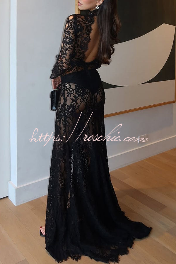 Dark Night Charm Sheer Lace Cutout Long Sleeve Stretch Maxi Dress