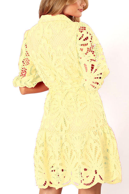 Color Lace Cutout Balloon Sleeves and Waist Tie Mini Dress