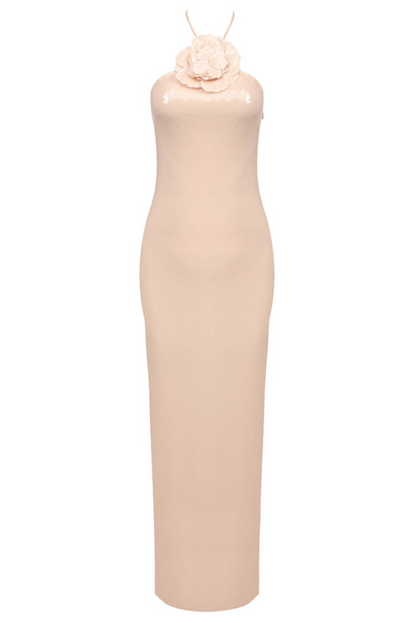 Virginia Applique Sequin Maxi Dress