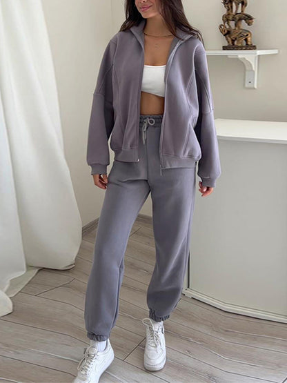 Plush Standing Collar Long Sleeved Sweatshirt and Pants Suit
