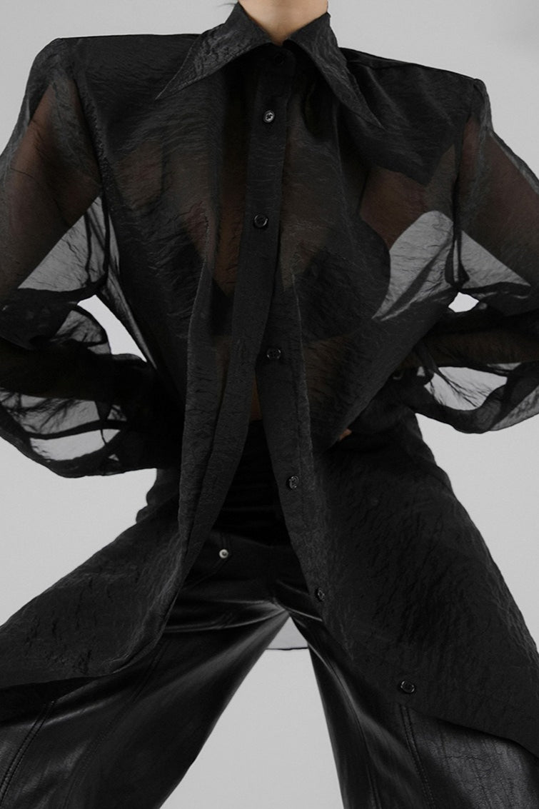 Mesh Sheer Long-sleeve Loose Blouse