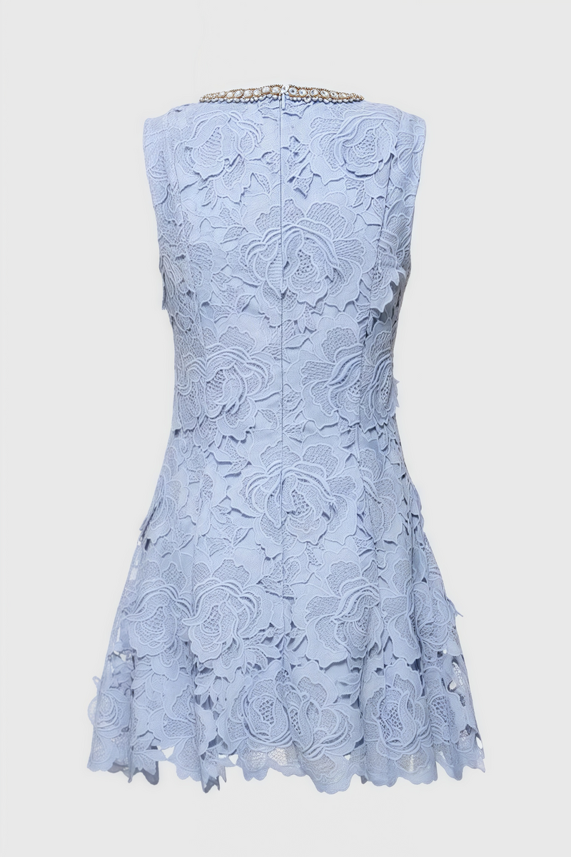 Beldend Sleeveless Lace Mini Dress