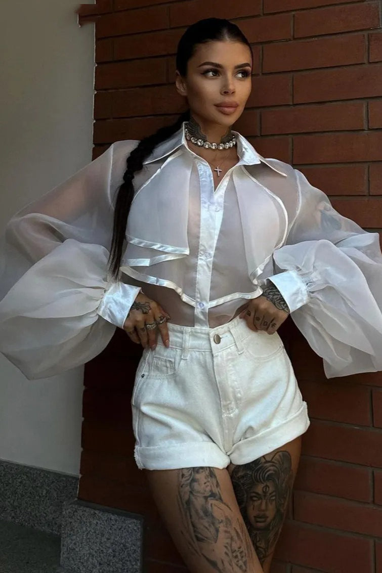 Sheer Lantern-sleeve Collared Ruffled Blouse