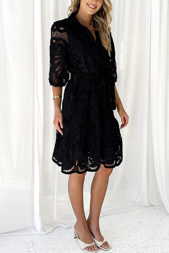 Color Lace Cutout Balloon Sleeves and Waist Tie Mini Dress