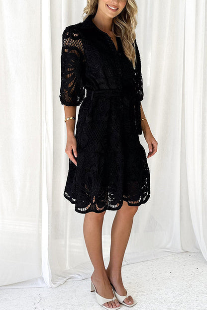 Color Lace Cutout Balloon Sleeves and Waist Tie Mini Dress