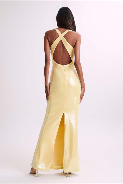 Backless Sequin Maxi Dress