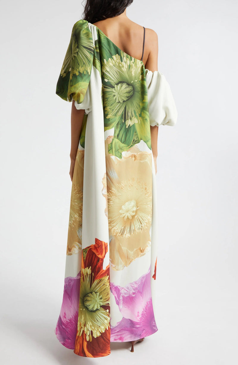 Payton Asymmetric Neck Maxi Dress