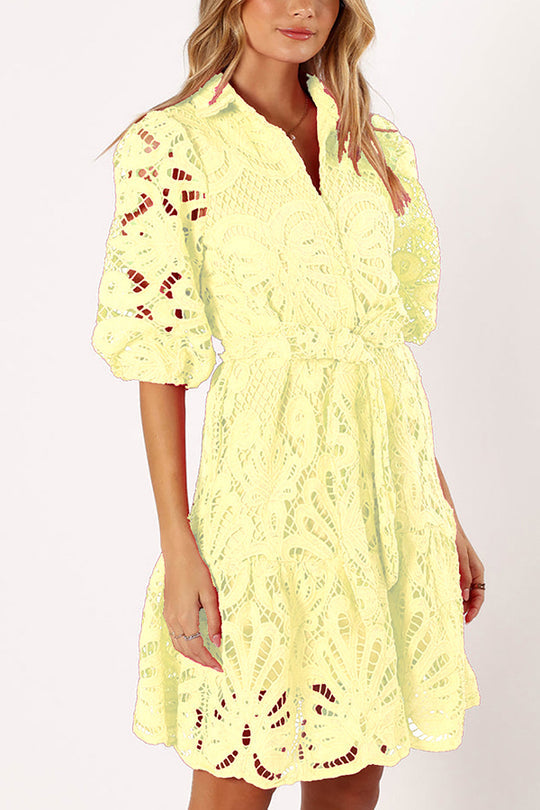 Color Lace Cutout Balloon Sleeves and Waist Tie Mini Dress