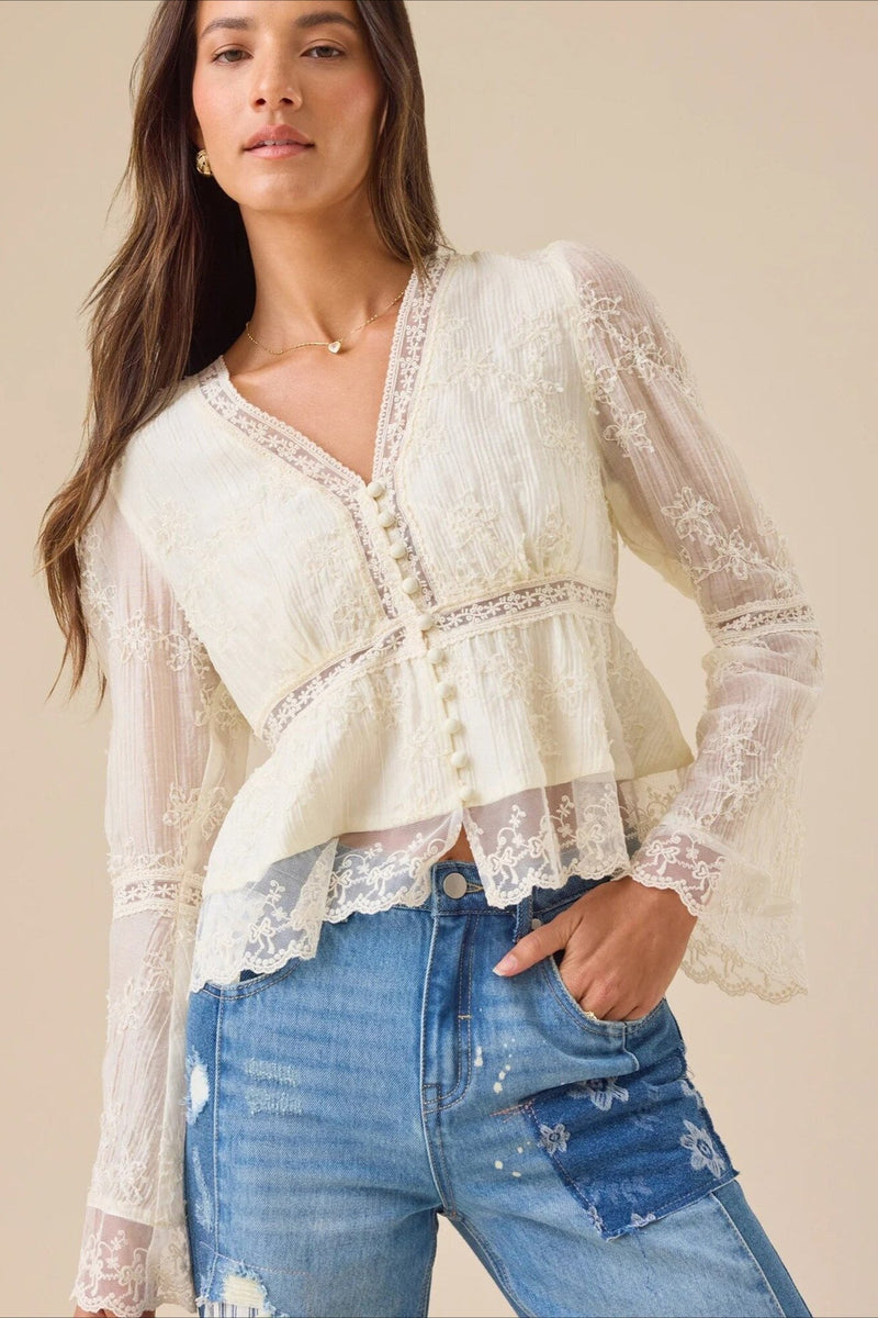 Lace Hollow Out Long Sleeve Blouse