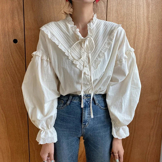 Spring Loose Lantern Sleeve Blouse