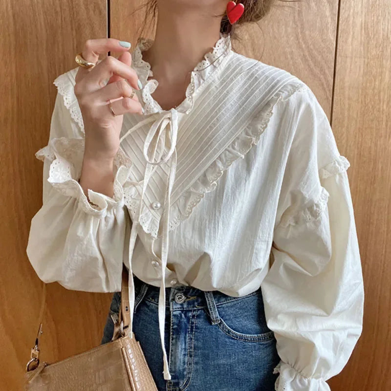 Spring Loose Lantern Sleeve Blouse
