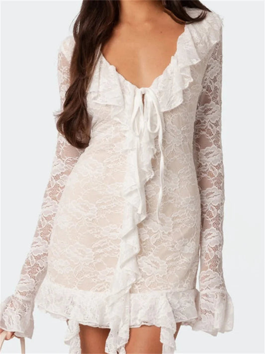 Lace Mesh Long Sleeve Mini Dresses
