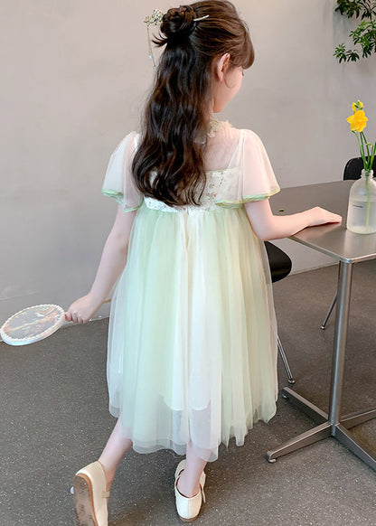 Chinese Style Green Tasseled Embroideried Tulle Long Dress Summer Tt030