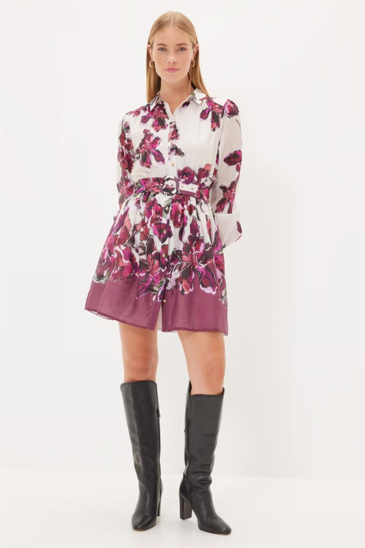 Long Sleeve Mini Dress With Belt
