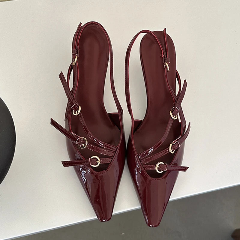 Liyke Spring Buckle Strap Pumps Office Shoes Pointed Toe Heels Sandals