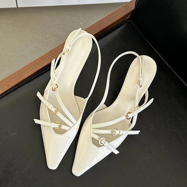 Liyke Spring Buckle Strap Pumps Office Shoes Pointed Toe Heels Sandals