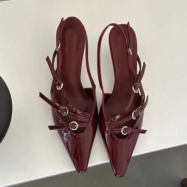 Liyke Spring Buckle Strap Pumps Office Shoes Pointed Toe Heels Sandals