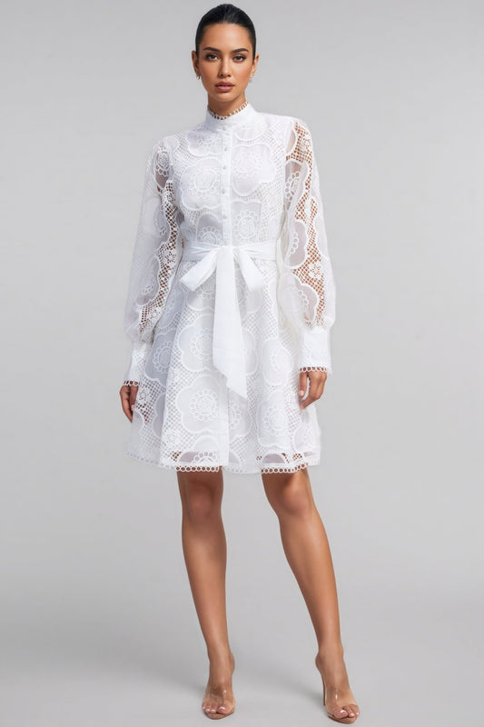 Joanna Lace Lantern Sleeve Mini Dress