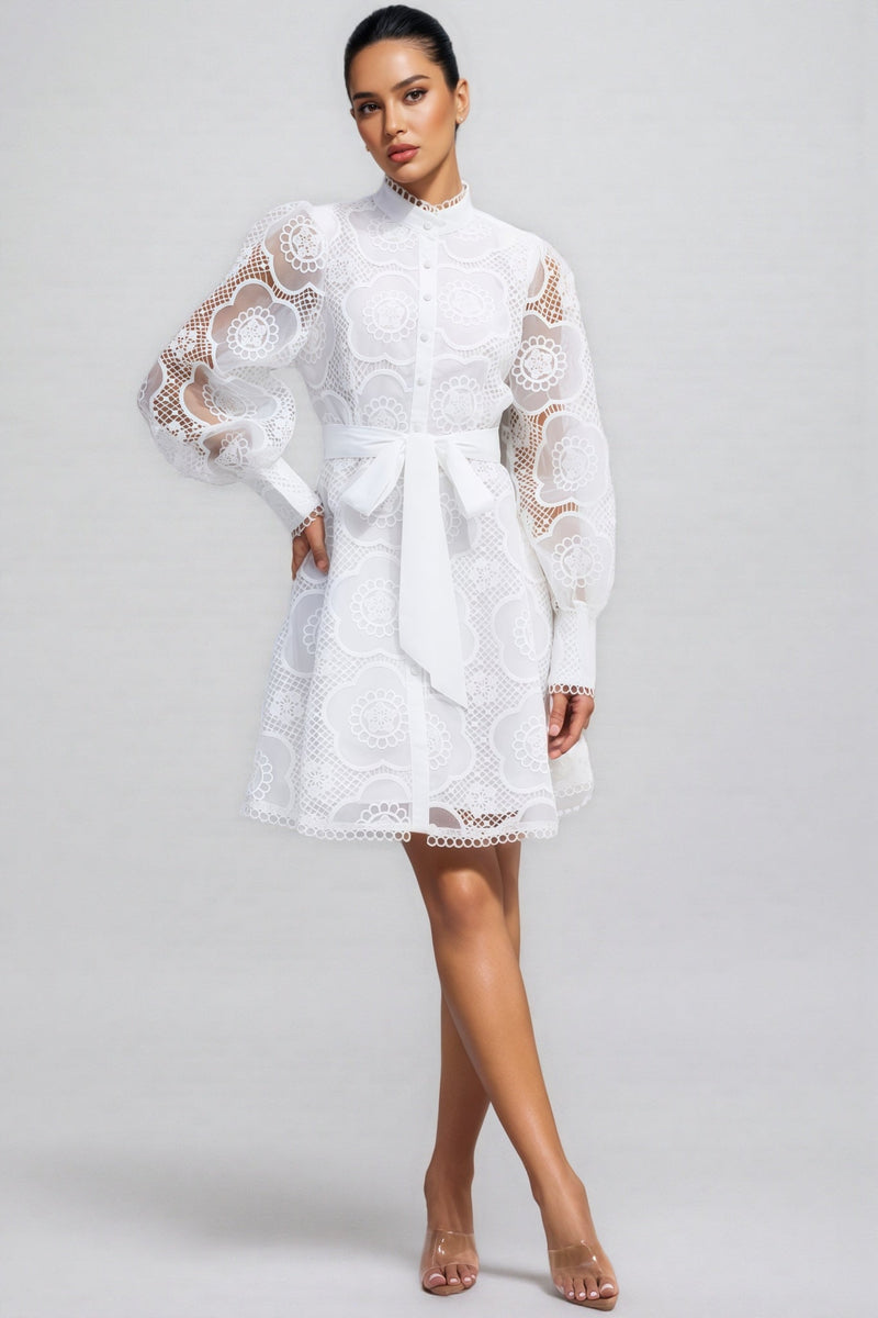 Joanna Lace Lantern Sleeve Mini Dress