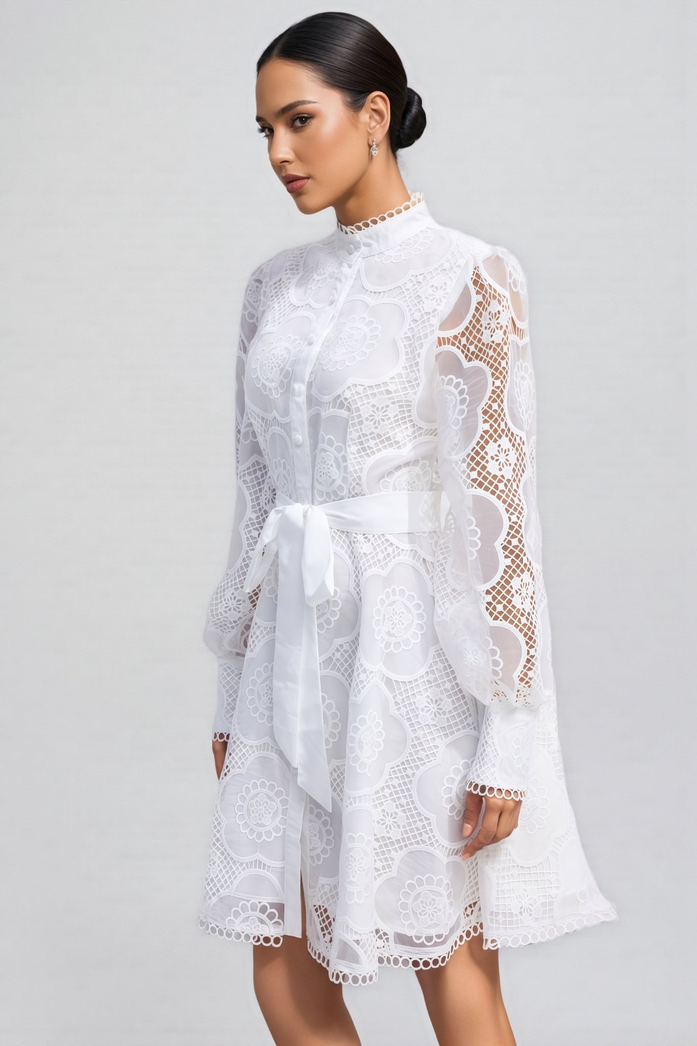 Joanna Lace Lantern Sleeve Mini Dress
