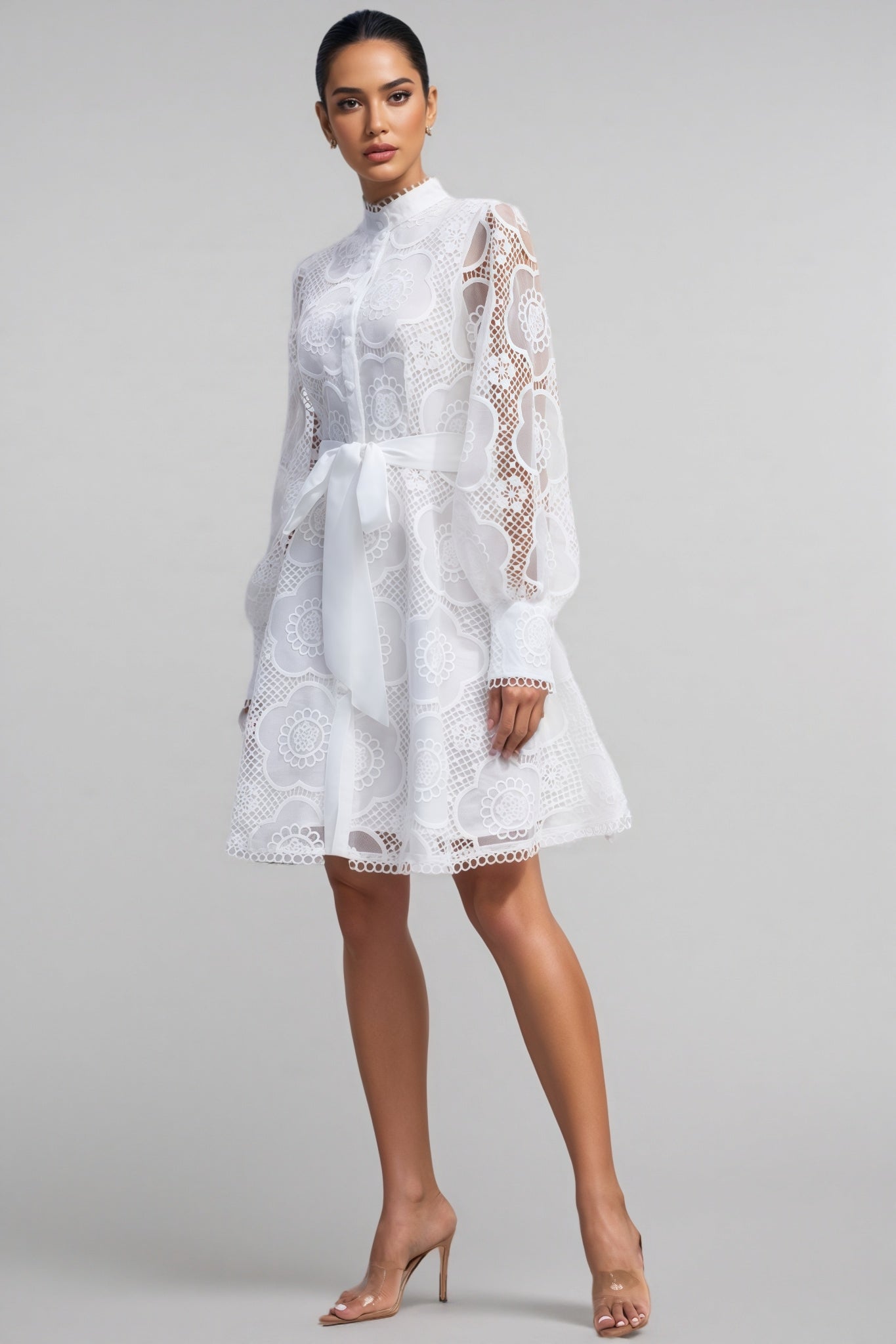 Joanna Lace Lantern Sleeve Mini Dress
