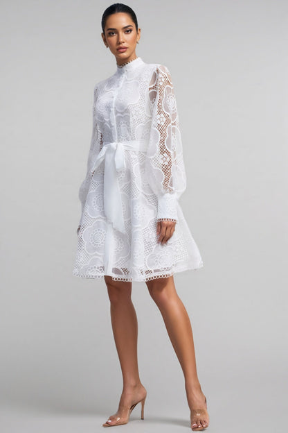 Joanna Lace Lantern Sleeve Mini Dress