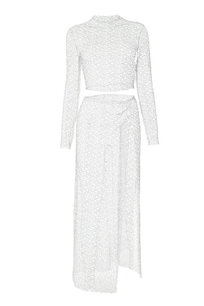 Mesh Crop Top Slit Skirt Two-piece Set