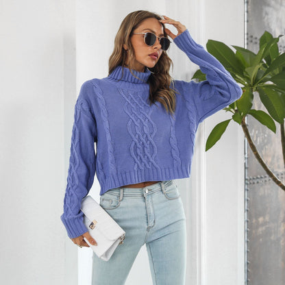 Knit Turtleneck Short Sweater Loose Autumn Winter Long Sleeve Sweater Sweater