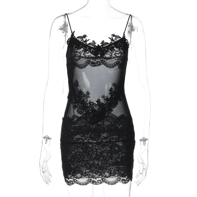 Whitleigh Lace Mesh Mini Dress