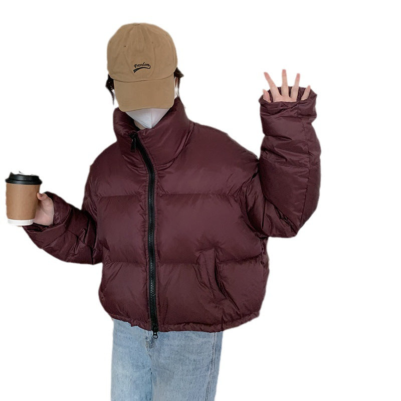 Classic Designed Garment