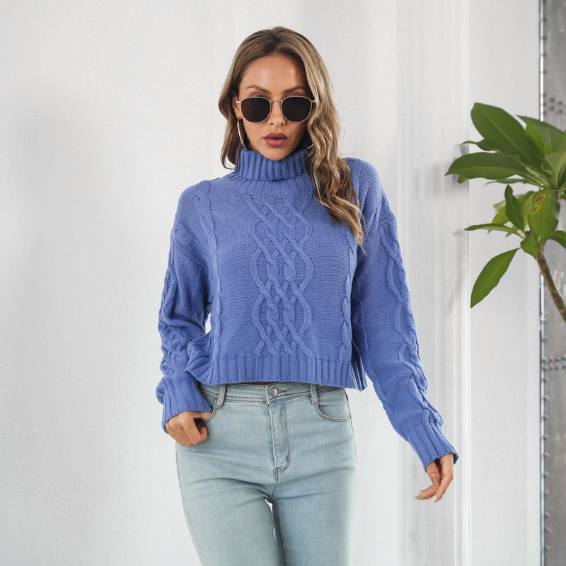 Knit Turtleneck Short Sweater Loose Autumn Winter Long Sleeve Sweater Sweater