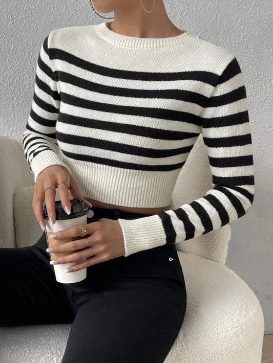 Striped Cropped Crewneck Knit Sweater