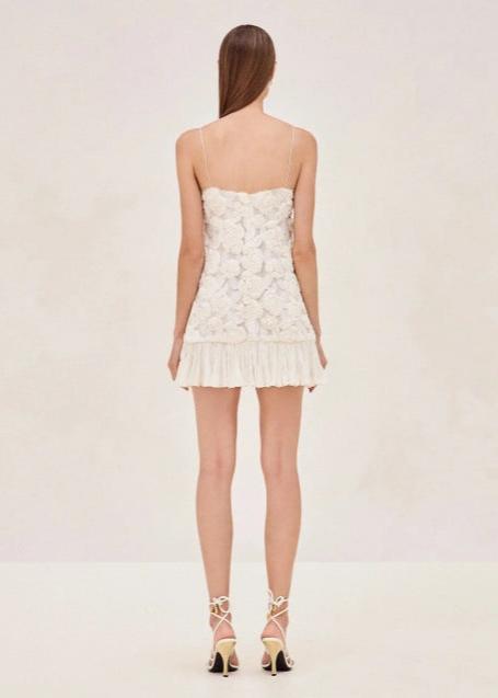 Camilla - Appliqué Ruffle Mini Dress