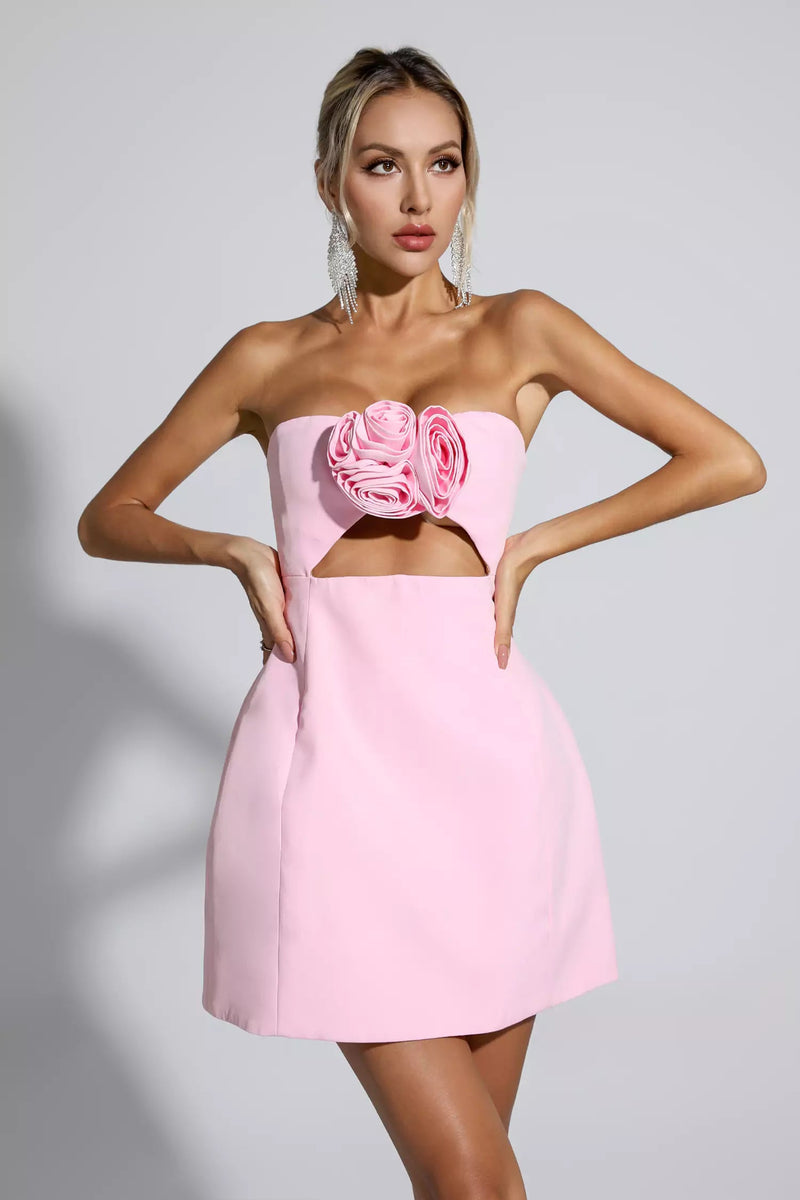 Poppy Pink Mini Dress