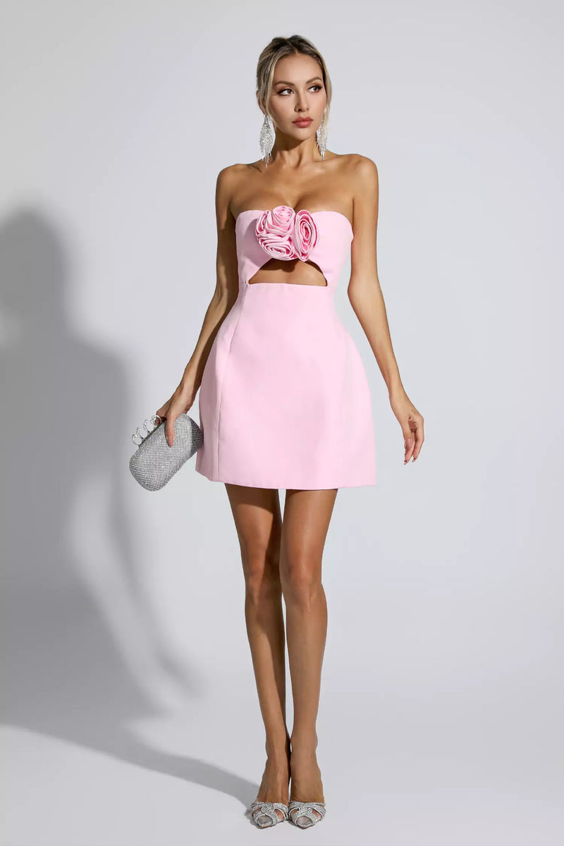 Poppy Pink Mini Dress