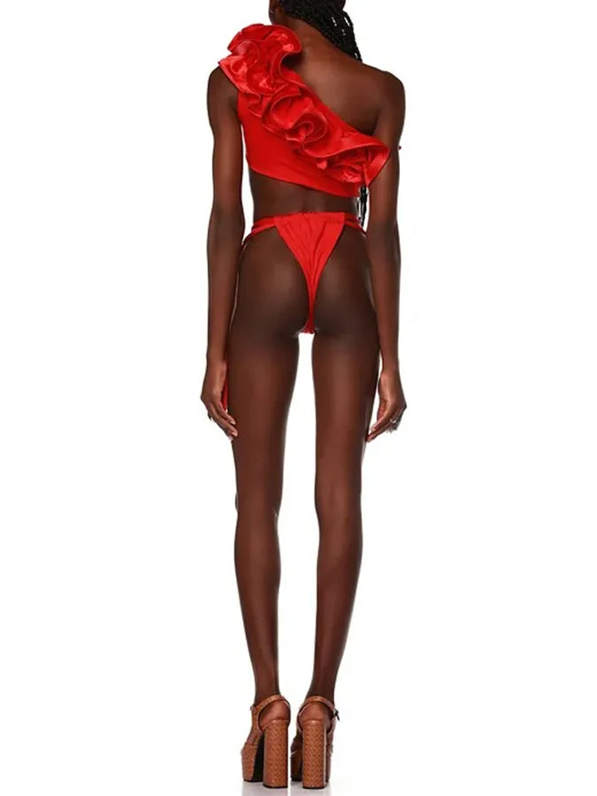 Frilled V Neck One Piece Swimsuit and Skirt