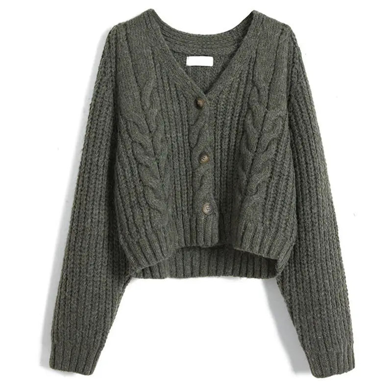 Long Sleeve Cardigan Crochet Sweater Autumn Winter Korean Vneck Single Breasted Short Tops