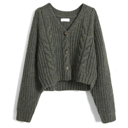 Long Sleeve Cardigan Crochet Sweater Autumn Winter Korean Vneck Single Breasted Short Tops