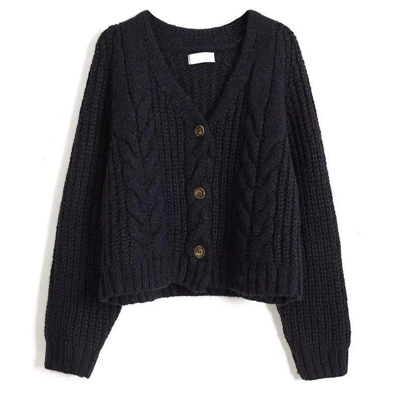 Long Sleeve Cardigan Crochet Sweater Autumn Winter Korean Vneck Single Breasted Short Tops