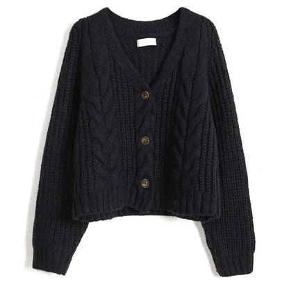 Long Sleeve Cardigan Crochet Sweater Autumn Winter Korean Vneck Single Breasted Short Tops