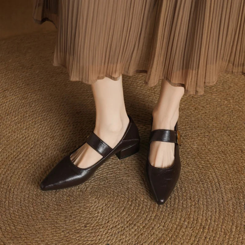 French Thickheeled Magic Sticker Shallow Shoes Spring New Pointed and Fashionable Versatile Nonslip Small Leather Shoes