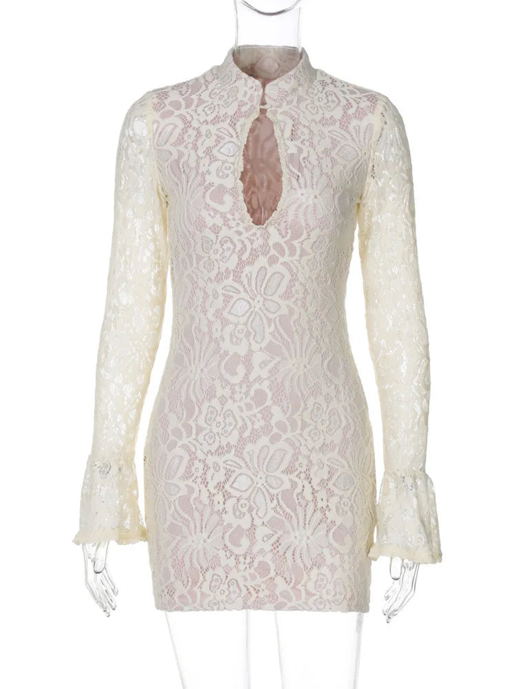 Lace Hollow Out Long Sleeve Mini Dress for Half High Collar Bodycon Club Party Dress Dresses