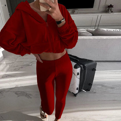 Fall Winter Soft Velvet Outfit Zipper Hooded Sweatshirt Coat+slim Pants Tracksuit Retro Long Sleeve Sports Suit Sets