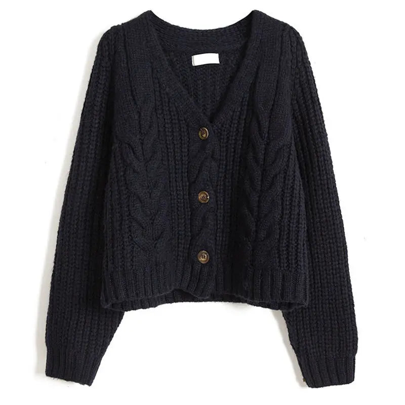 Long Sleeve Cardigan Crochet Sweater Autumn Winter Korean Vneck Single Breasted Short Tops