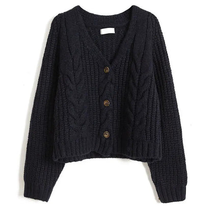 Long Sleeve Cardigan Crochet Sweater Autumn Winter Korean Vneck Single Breasted Short Tops