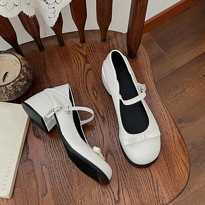 New Mary Jane Shoes Low Heel Shoes Buckle Single Shoes College Style Footwear Single Pumps