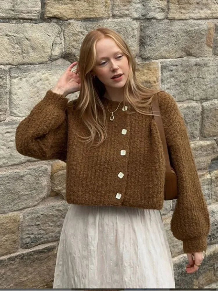 Brown Single Breasted Knitwear O Neck Long Sleeves Loose Sweater New Lady Office Cardigan